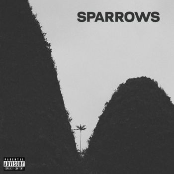LANDO - sparrows (Explicit)