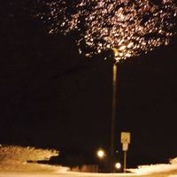 Zook - Evaporating