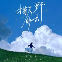苏北北 - 撒野的云