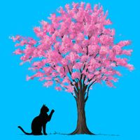 Sole - Sam (Explicit)