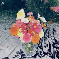 至岁 - 越过山川河流*