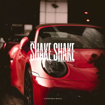 D&S - Shake Shake