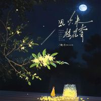 moon - 风吹来 桂花香