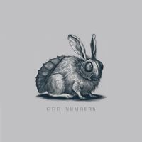 Methodub - Odd Numbers