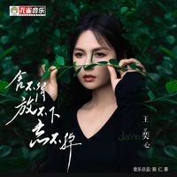 王奕心 - 捨不得放不下忘不掉