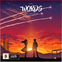 Feint (feat. Laura Brehm) - Words (feat. Laura Brehm)