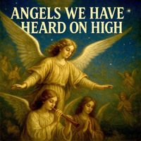 Fun Party DJ - Angels We Have Heard on High