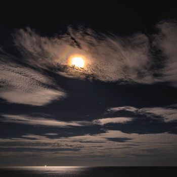 Ephemera - Moonlight