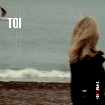 PANORAMA - TOI