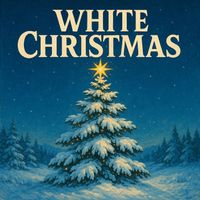 Fun Party DJ - White Christmas