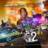 Waka Flocka Flame - Salute Me or Shoot Me 2.5 (Explicit)