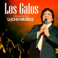 Los Galos - Los Galos, con la voz de Lucho Muños
