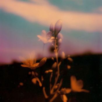 John Hayes - Gone