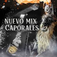 Hermanos Rodriguez - El nuevo mix de caporales de los Hermanos Rodriguez (live)