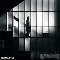 Dismantle - Reflections