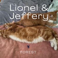 Forest - Lionel & Jefferey