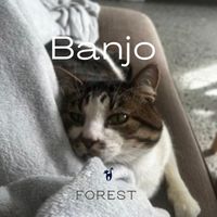 Forest - Banjo