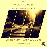 William James - Critical Path