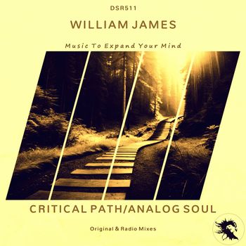 William James - Critical Path