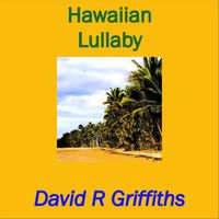 David R. Griffiths - Hawaiian Lullaby