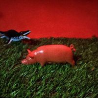 Tomedeath - Swine (Explicit)