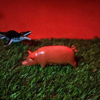 Tomedeath - Swine (Explicit)