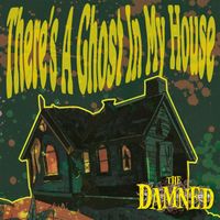 The Damned - There's a Ghost in My House
