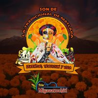 Trio Miyauaxochitl - Son De La Tradicional De Matlapa