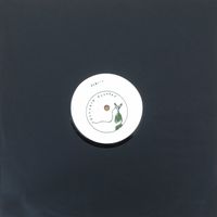 Erta Ale - SLN013