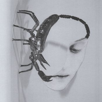 Tortoise - Touch