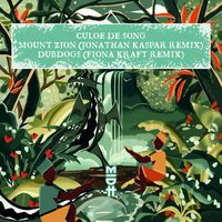 Culoe De Song - The Conspiracy Theory Remixes, Pt. 2