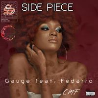 Gauge - Side Piece (Explicit)