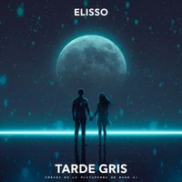 elisso - Tarde Gris