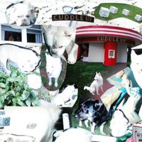 Playing Possum - Cuddle Up (Explicit)