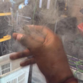 stain - in tha air (Explicit)