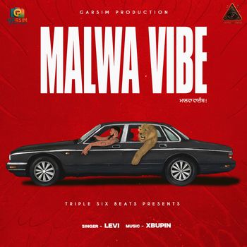 LEVI - Malwa Vibe