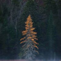 jonas - Where is He (Explicit)