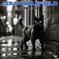 Jim Stubblefield - Black Cat