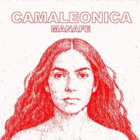 Manafe - Camaleonica