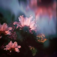 John Hayes - Closer