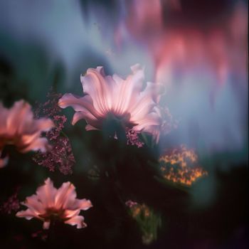 John Hayes - Closer