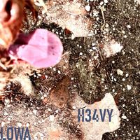 LOWA - H34Vy