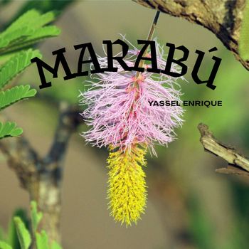 YASSEL ENRIQUE - Marabú