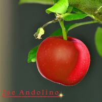 Joe Andolino - Joe Andolino