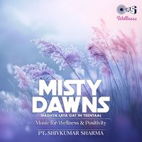 Pandit Shivkumar Sharma - Misty Dawns