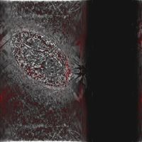 Karner Red - Borrelia karnerii
