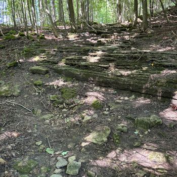 Chris Thompson - Away in a tent