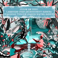 Culoe De Song - The Conspiracy Theory Remixes, Pt. 1