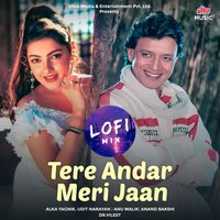 Udit Narayan & Alka Yagnik - Tere Andar Meri Jaan (Lofi Mix)