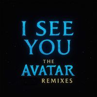 Steve Brian - I See You (the Avatar Remixes)